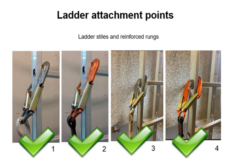 Ladder rungs